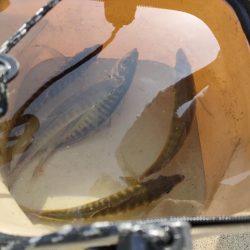 苦しい時間を乗り越えて