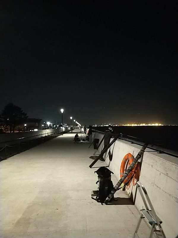 根魚だけは好調