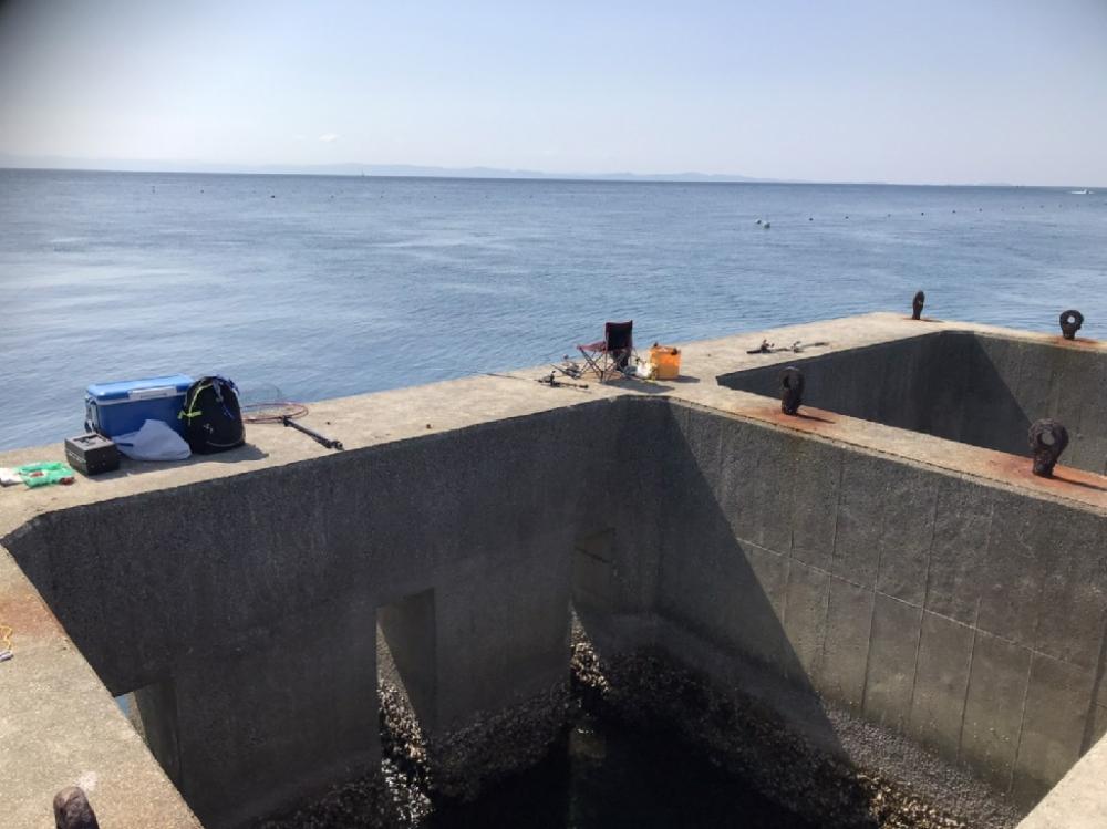 コフダイ釣りルーム