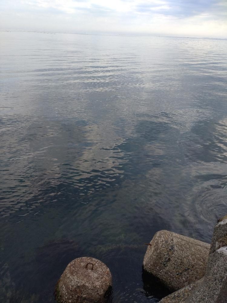 チラメ2枚とアナハゼ1匹