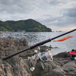 セフィアリミテッド墨付け