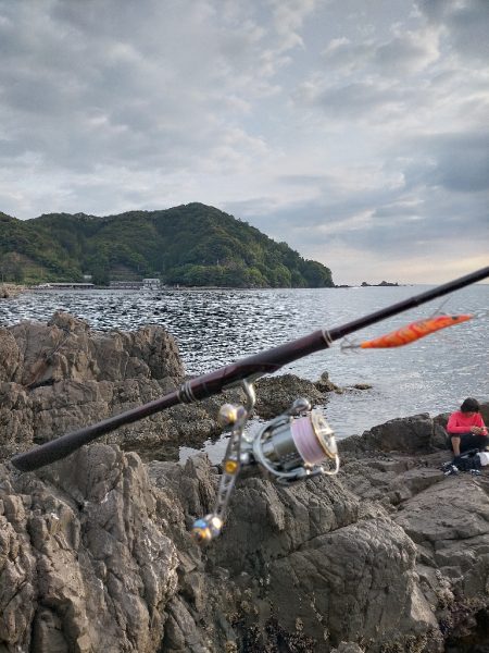 セフィアリミテッド墨付け