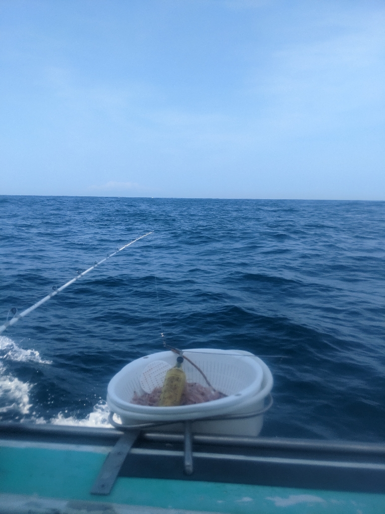 本命シマアジ釣れず。。でも外道は良好‼️