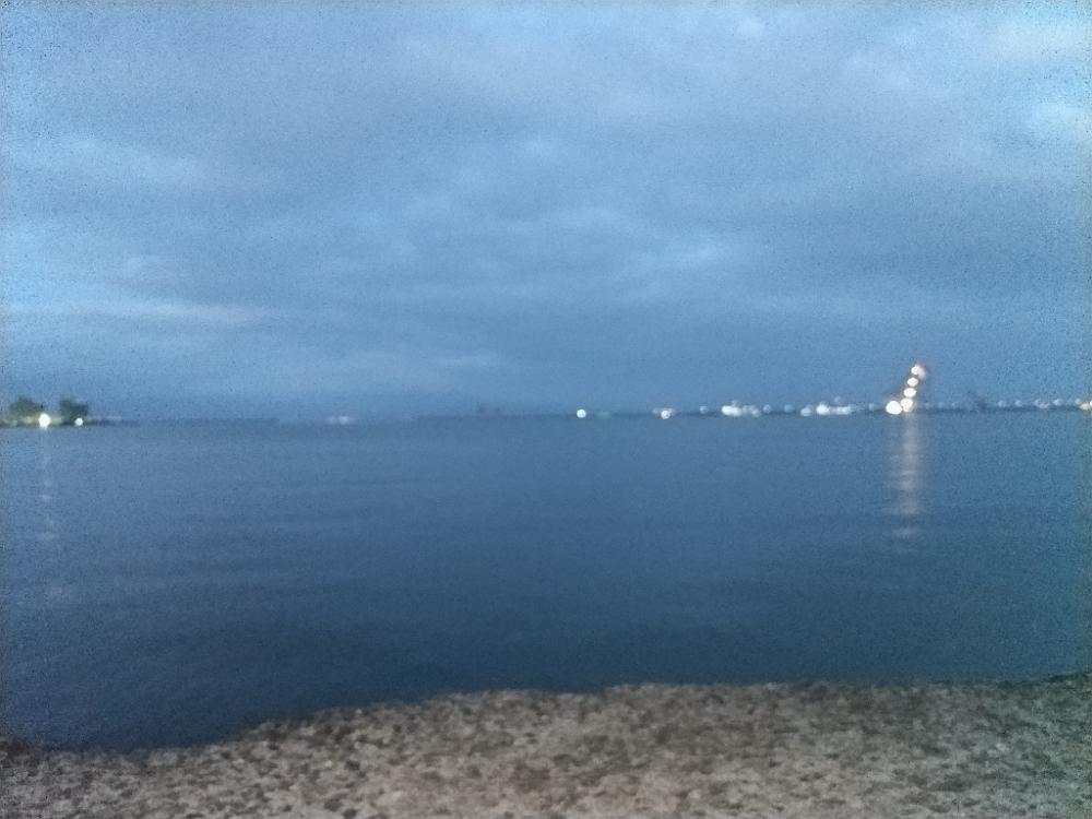 マゴチ釣れました!