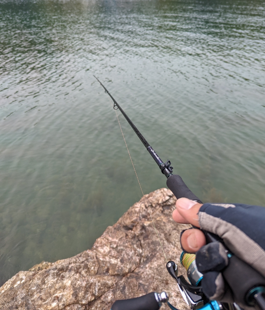 マズメにドンッ！