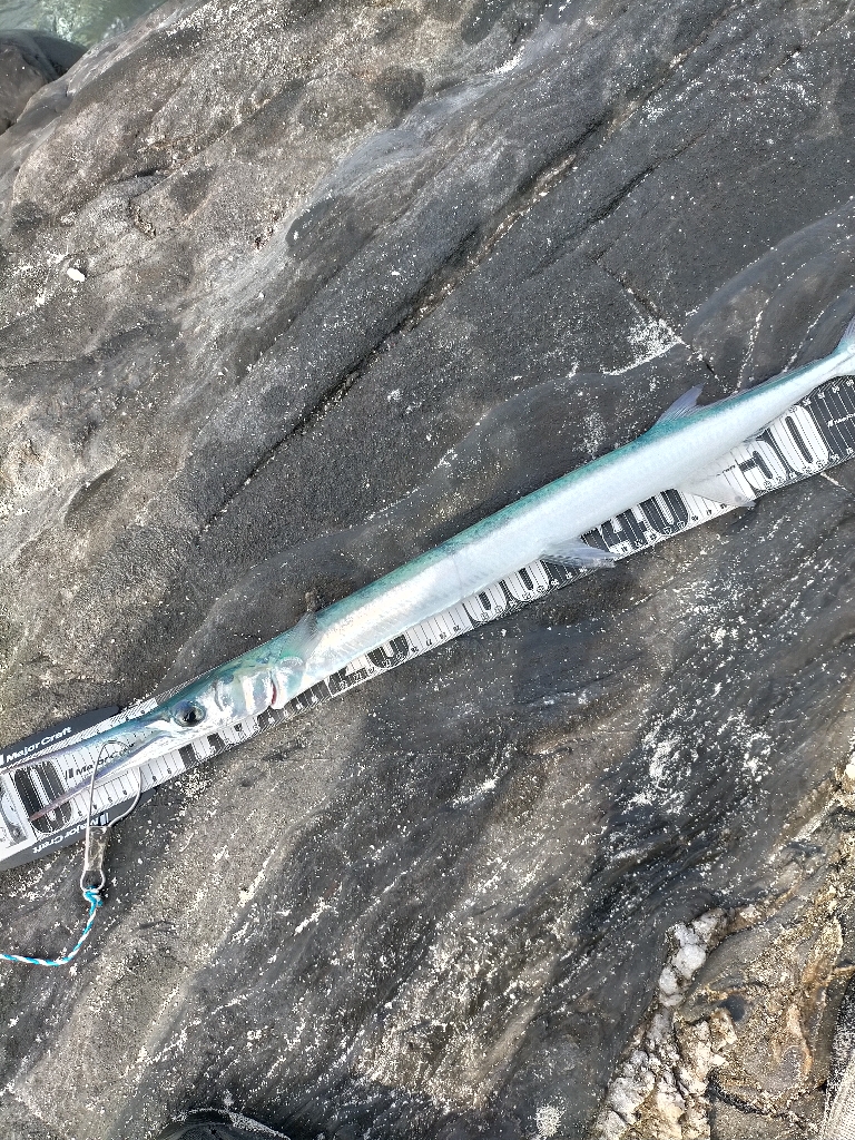 沖縄 スプーンで釣り