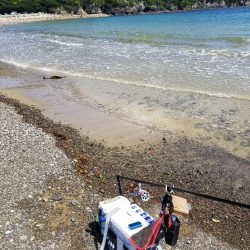 久々のキス釣り