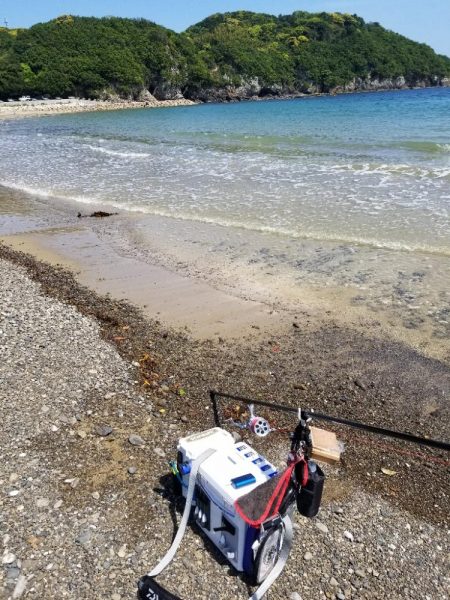 久々のキス釣り