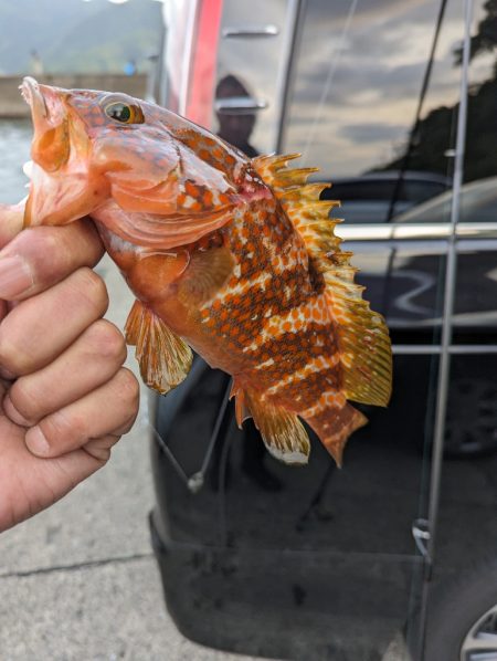 陸っぱり釣行記