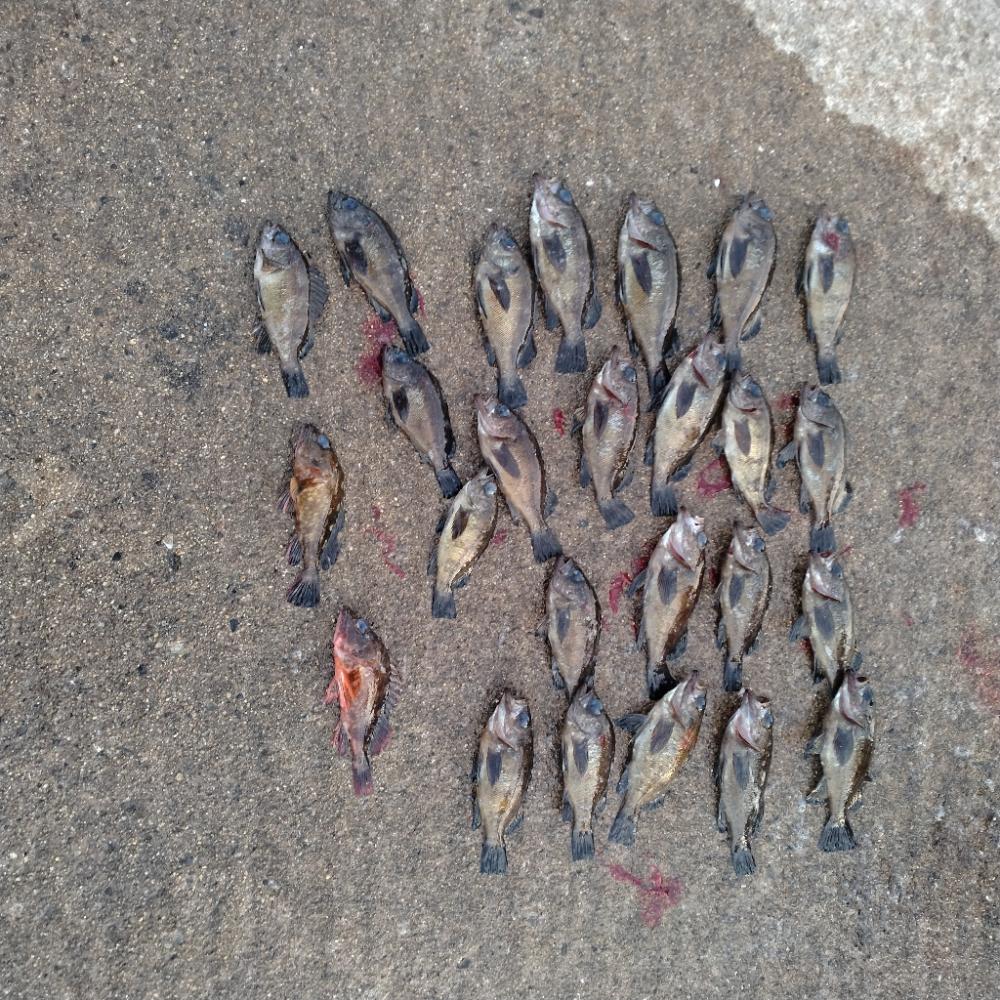 フロートメバリング