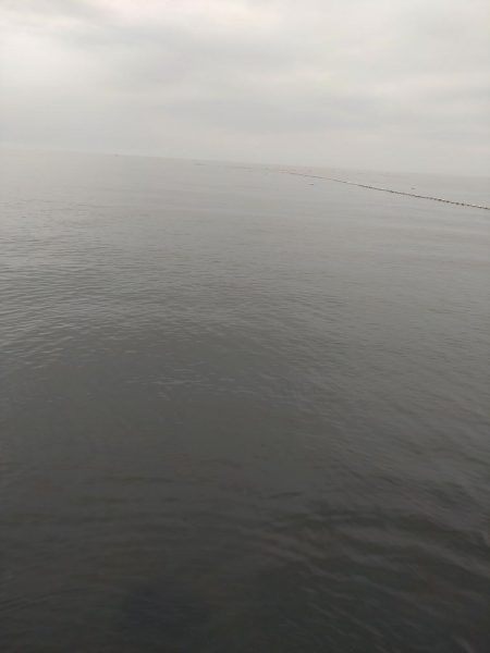 ヒラメ・フクラギ釣れました！