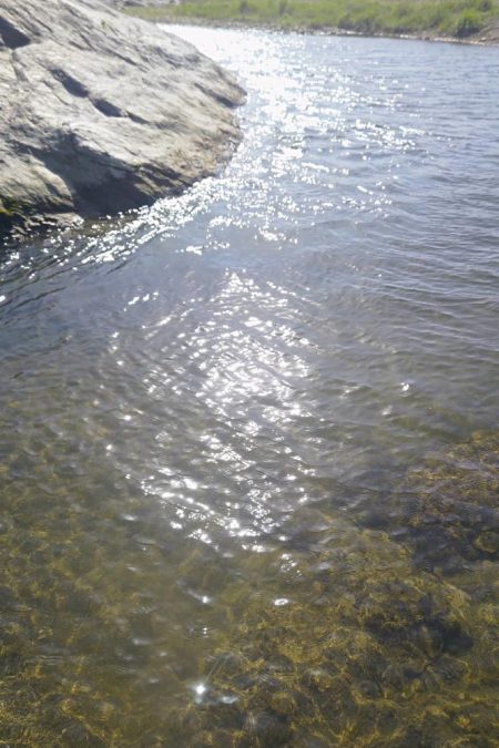 川バス狙い打ち