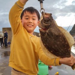 雨上がりのヒラメ