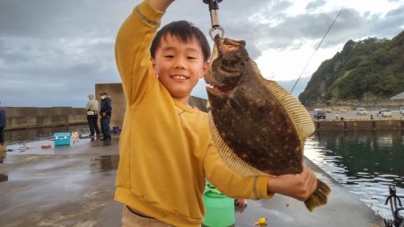 雨上がりのヒラメ