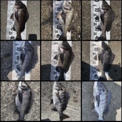 イチノ兄弟（兄）釣果！