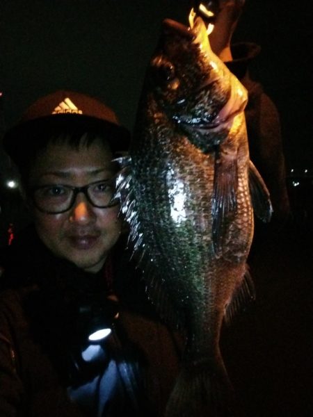 アジングロッド