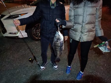 2023/04/30 南港ヘチ釣り釣行