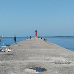 播磨新島のキス情報