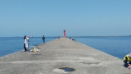 播磨新島のキス情報