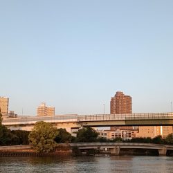 2023/05/02 大阪市内河川 稚鮎釣り