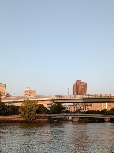 2023/05/02 大阪市内河川 稚鮎釣り