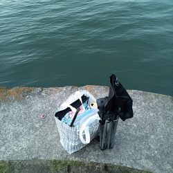 2023/05/03 大阪市内河川 稚鮎釣り