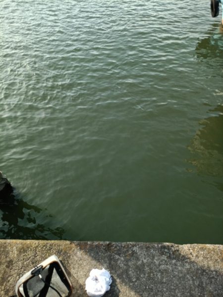 2023/05/04 大阪市内河川 稚鮎釣り