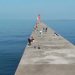 播磨新島のキス情報