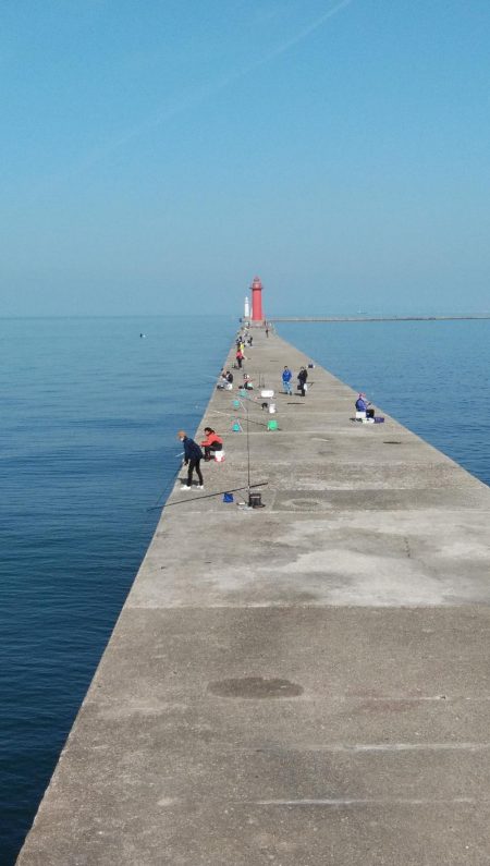 播磨新島のキス情報