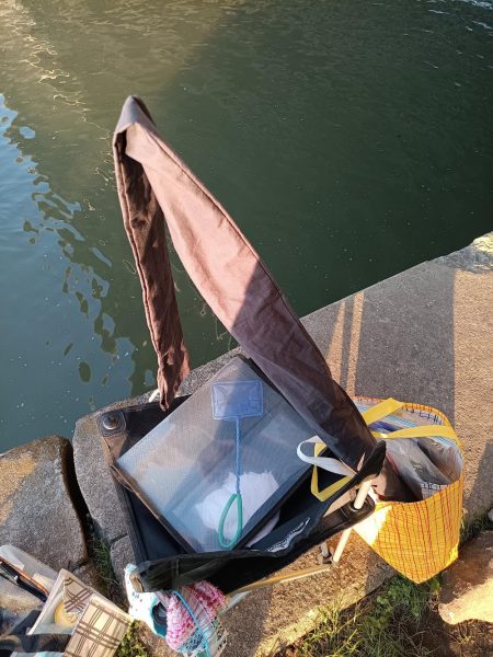 2023/05/10 大阪市内河川 稚鮎釣り