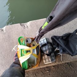 2023/05/12 大阪市内河川 稚鮎釣り