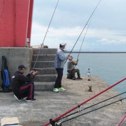 播磨新島のキス情報