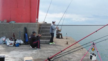 播磨新島のキス情報