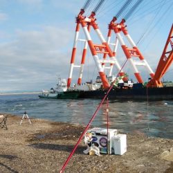 播磨新島のキス情報