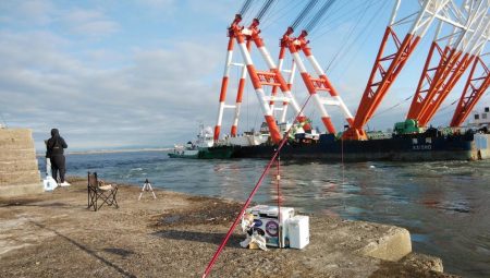 播磨新島のキス情報