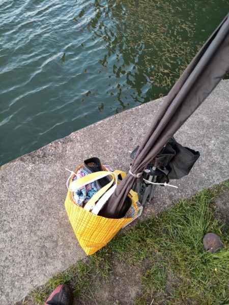 2023/05/23 大阪市内河川 稚鮎釣り