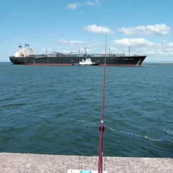 播磨新島のキス情報