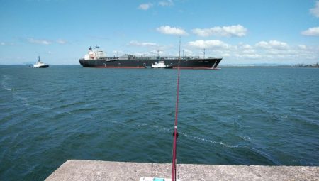 播磨新島のキス情報