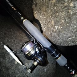 行ってみないと分からないよね～