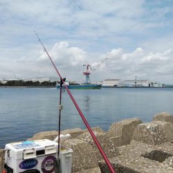 東二見のキス情報