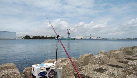 東二見のキス情報