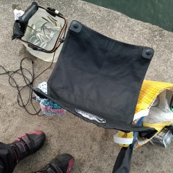 2023/05/27 大阪市内河川 稚鮎釣り