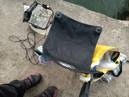 2023/05/27 大阪市内河川 稚鮎釣り