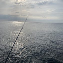 エンドレスで釣れる日