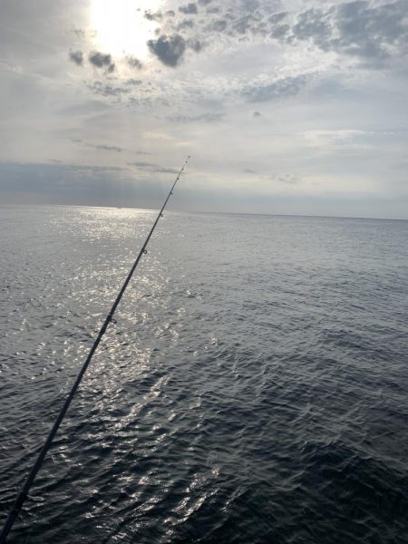 エンドレスで釣れる日