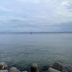 私的には爆釣?でした!!