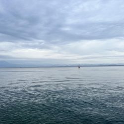 もうお前らええんやけど