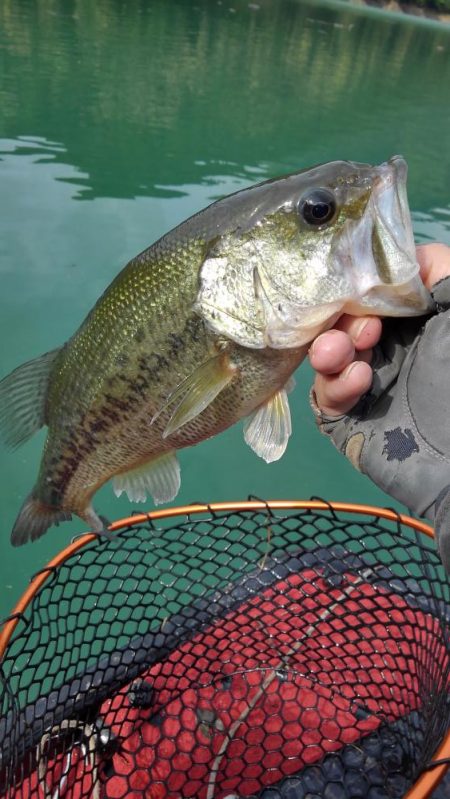 プリスポーンダイナマイト！