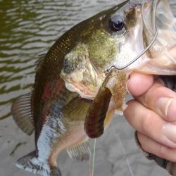 産後でお疲れの様子…