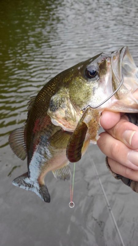 産後でお疲れの様子…